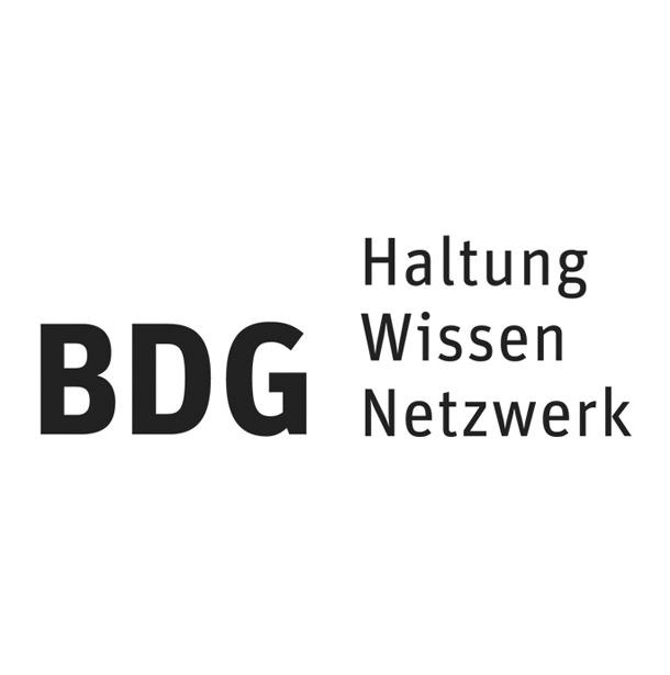 Hochgeladenes Bild